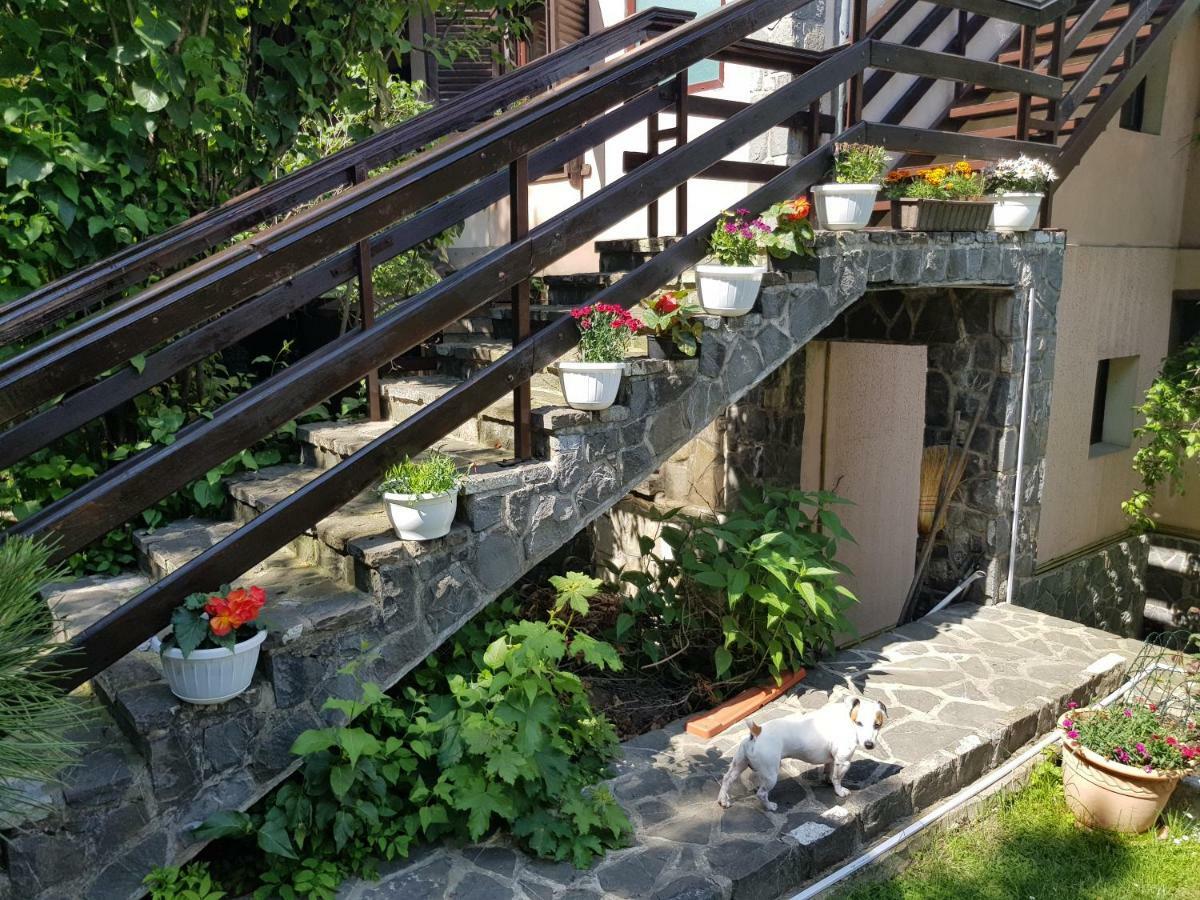 Apartament Ferdinand Sinaia Esterno foto