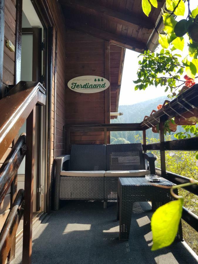 Apartament Ferdinand Sinaia Esterno foto